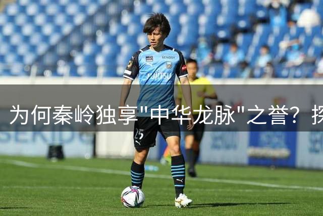 为何秦岭独享"中华龙脉"之誉？探寻这座山脉的非凡意义