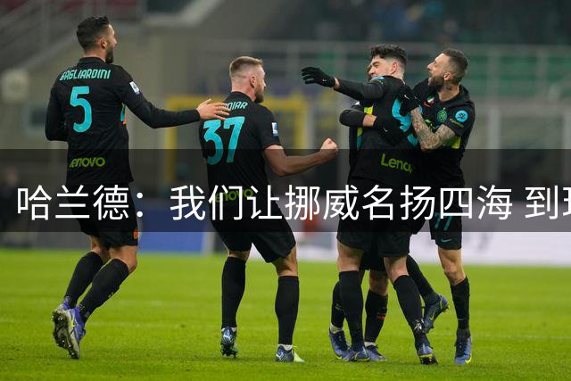 哈兰德：我们让挪威名扬四海 到现在依然觉得如梦似幻