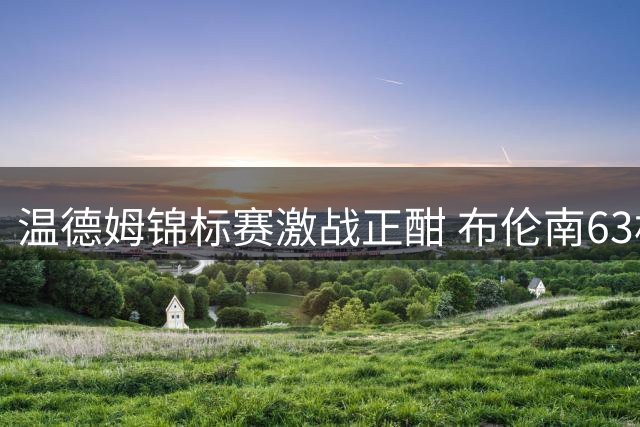 温德姆锦标赛激战正酣 布伦南63杆逆袭登顶