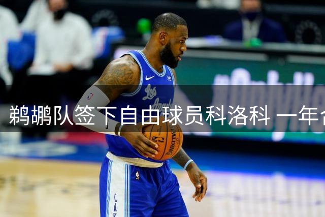 鹈鹕队签下自由球员科洛科 一年合约补强锋线深度